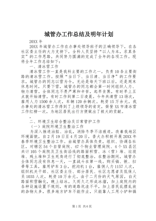 城管办工作总结及明年计划