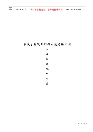 宁波某某公司人力资源规划方案