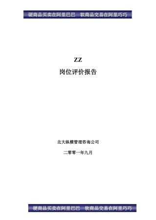 ZZ岗位评价报告1