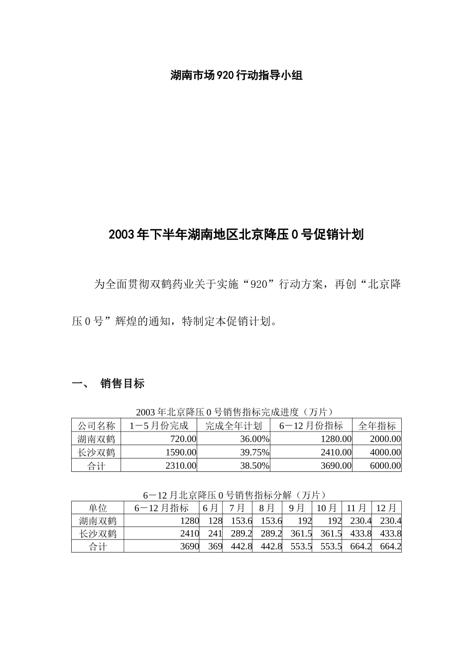 降压号市场营销计划_第2页