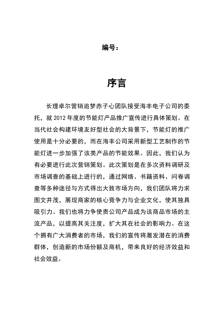 节能灯营销方案策划书_第2页