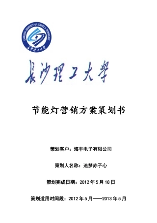 节能灯营销方案策划书
