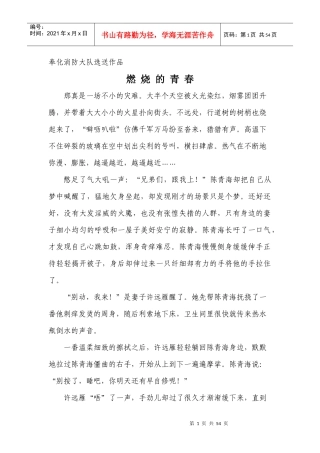 奉化消防大队选送作品