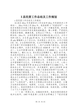 X县民营工作总结及工作规划