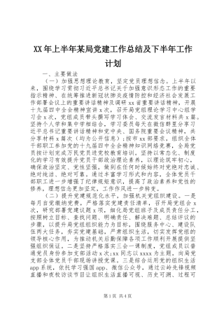 XX年上半年某局党建工作总结及下半年工作计划