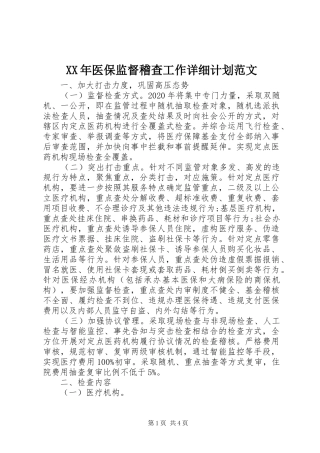 XX年医保监督稽查工作详细计划范文