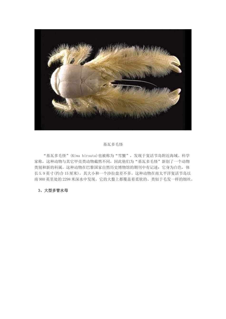 据英国媒体报道_第2页