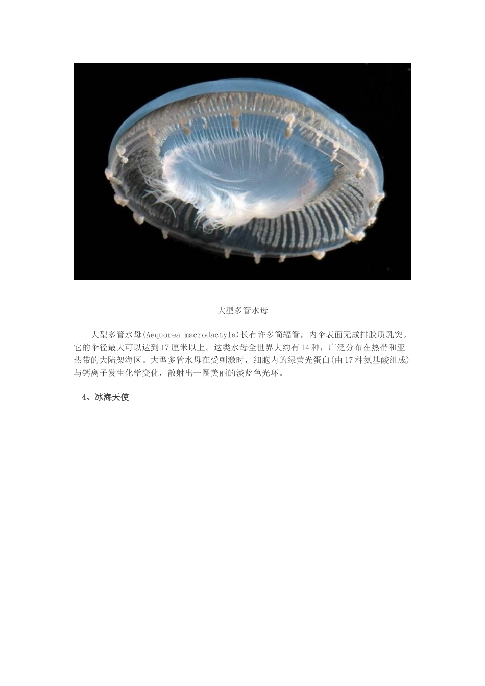 据英国媒体报道_第3页