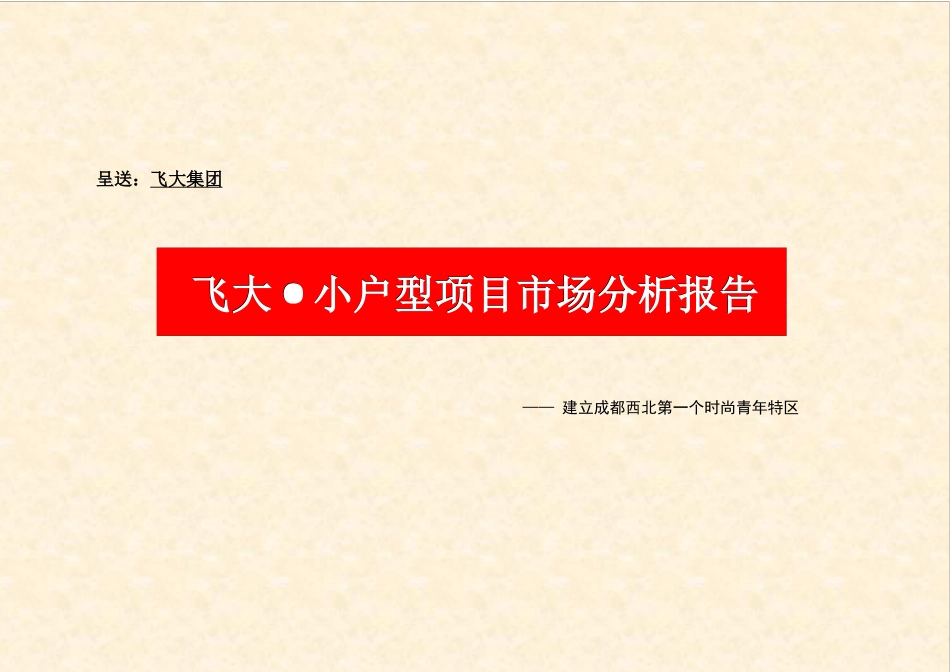 飞达，小户型项目市场分析报告_第1页