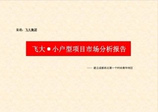 飞达，小户型项目市场分析报告