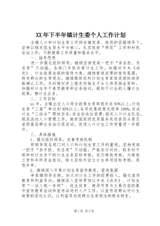XX年下半年镇计生委个人工作计划