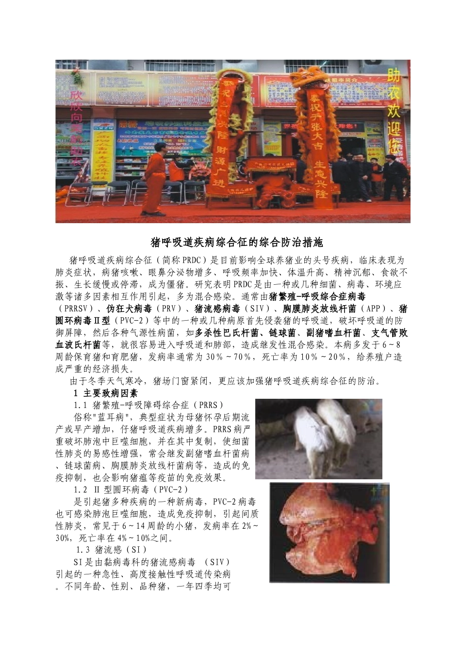联合打造助农养殖科技超市助农种养技术服务部广西助农畜牧_第3页