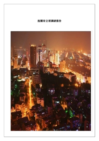 某市立项调研报告