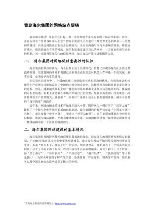 青岛海尔集团的网络站点促销