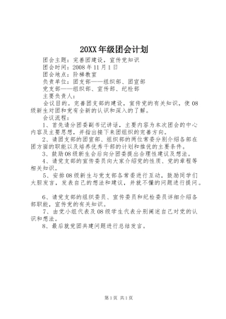 20XX年级团会计划