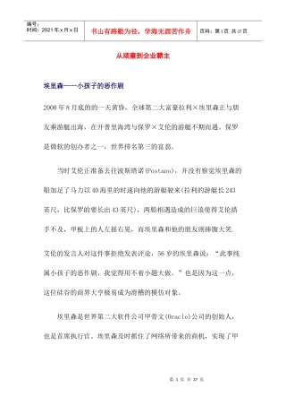 埃里森的成功历程