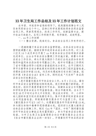 XX年卫生局工作总结及XX年工作计划范文