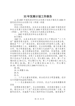 XX年发展计划工作报告