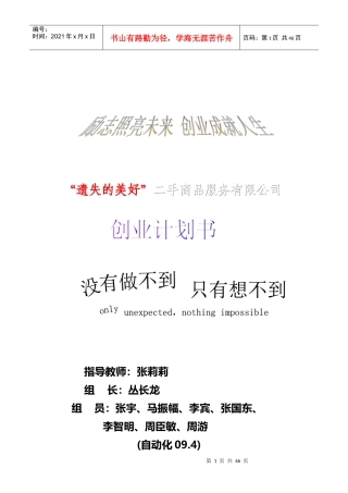 人力资源-2022Beyond二手市场创业策划书