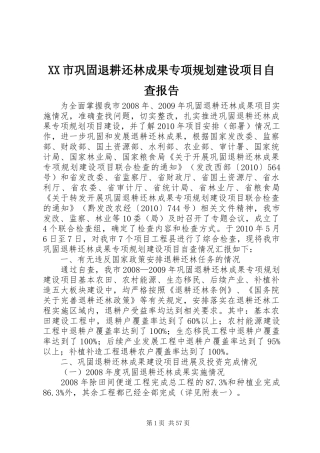 XX市巩固退耕还林成果专项规划建设项目自查报告