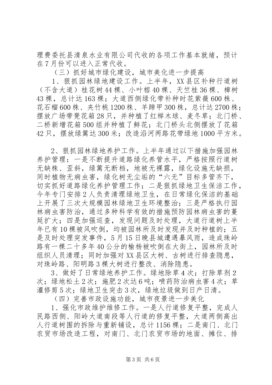 城管局工作总结及下年工作计划_第3页