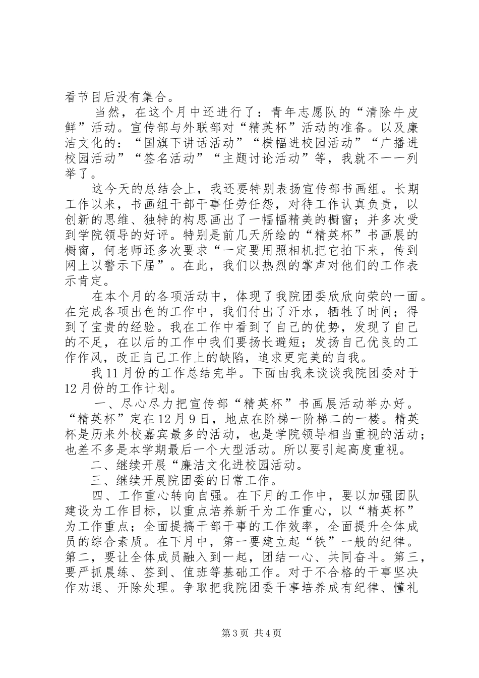 XX年团委11月总结范文及12月份计划_第3页
