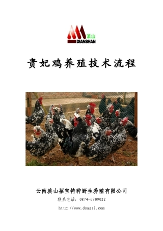 贵妃鸡养殖技术资料流程