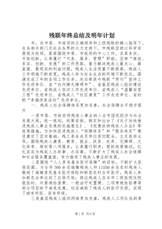 残联年终总结及明年计划