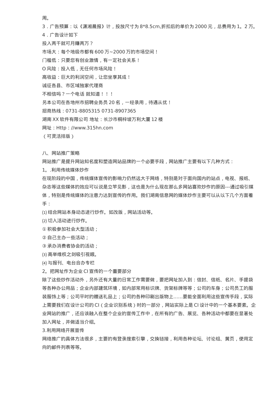 湖南XX软件公司市场推广策划方案(9)(1)_第3页