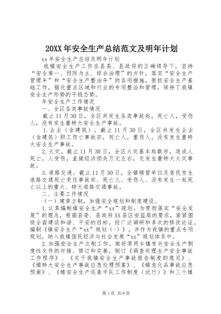 20XX年安全生产总结范文及明年计划