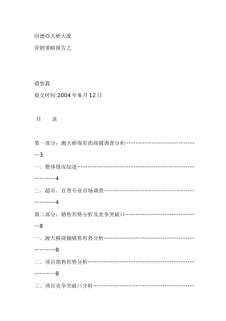 湖南某大厦项目全案营销策略报告之销售篇