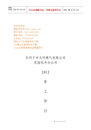 天环燃气公司年度工作计划书