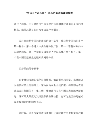 浪莎内装战略营销模型