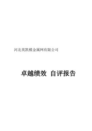 卓越绩效自评报告(完整版)