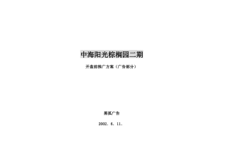 某二期开盘前推广方案广告部分