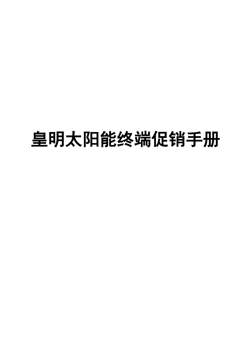 某某终端促销手册_第1页