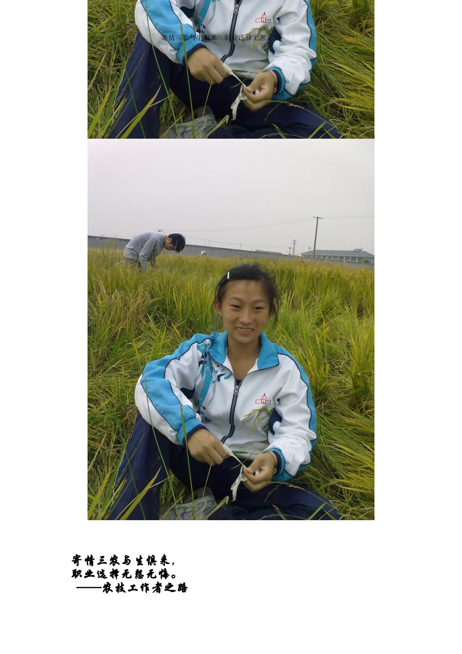 农机职业生涯规划_第3页