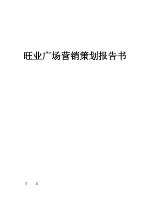 某某房地产广场营销策划报告书