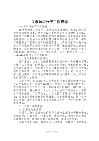 X市知识分子工作规划