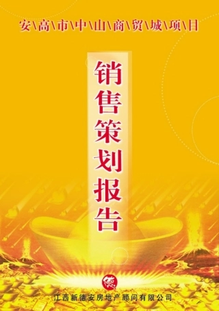 高安市中山商贸城销售策划报告