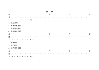 某广场项目定位与营销推广策略