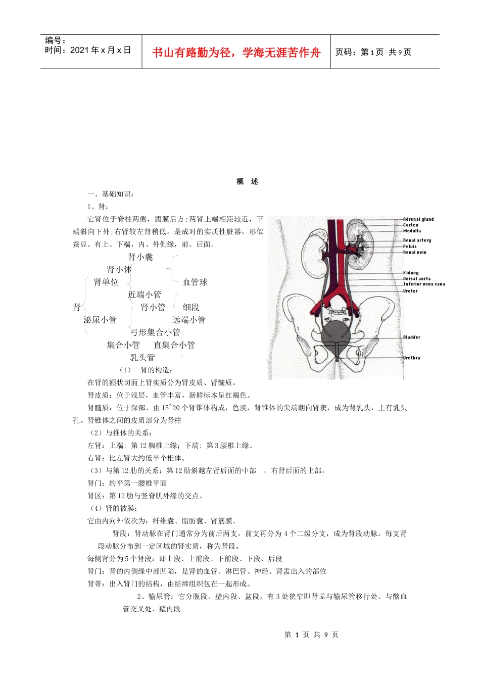 内科学泌尿系统疾病总结_第1页