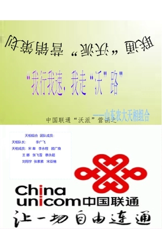 联通“沃派”营销策划书