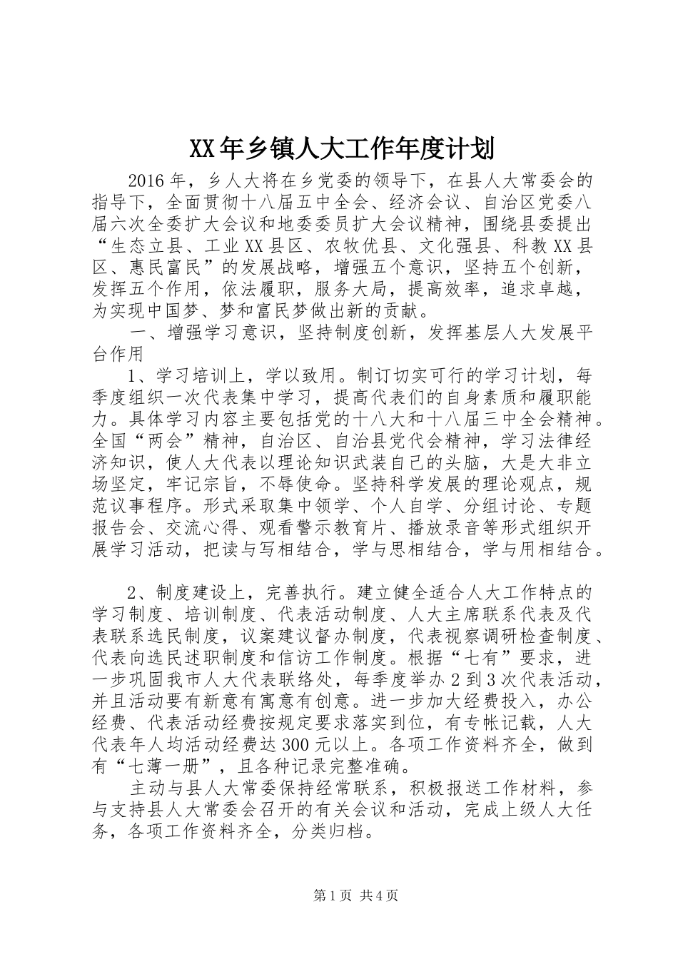 XX年乡镇人大工作年度计划_第1页