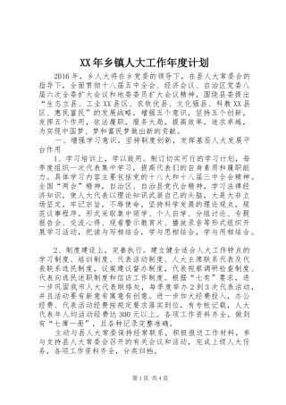 XX年乡镇人大工作年度计划