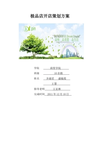 极品店开店策划方案