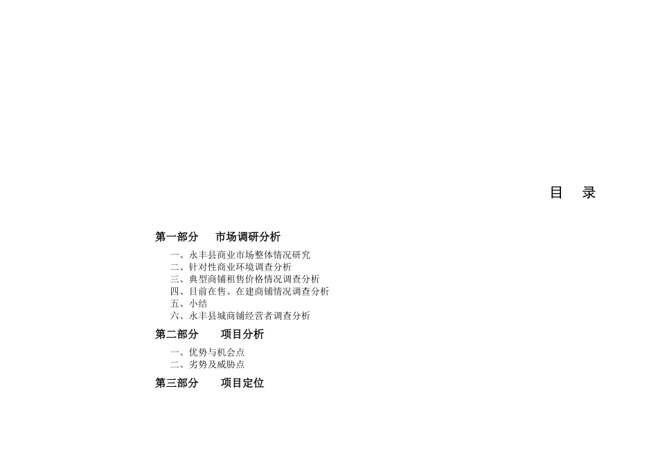 欧阳修商业街全程营销策划方案_第2页