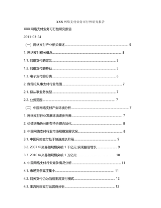 某网络支付业务可行性研究报告