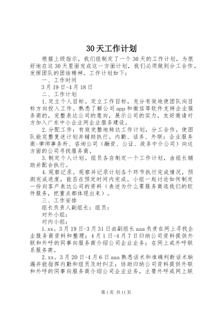 30天工作计划