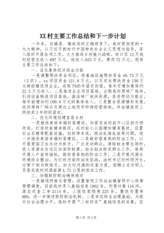 XX村主要工作总结和下一步计划
